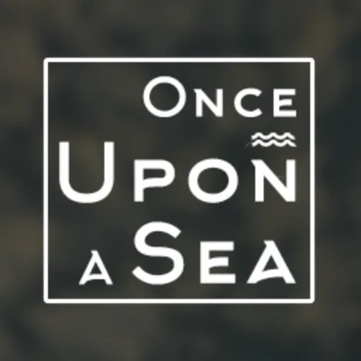 Once Upon a Sea- Jackie - You can only climb From the lowest place on Earth cover artwork from the official Meta Store page